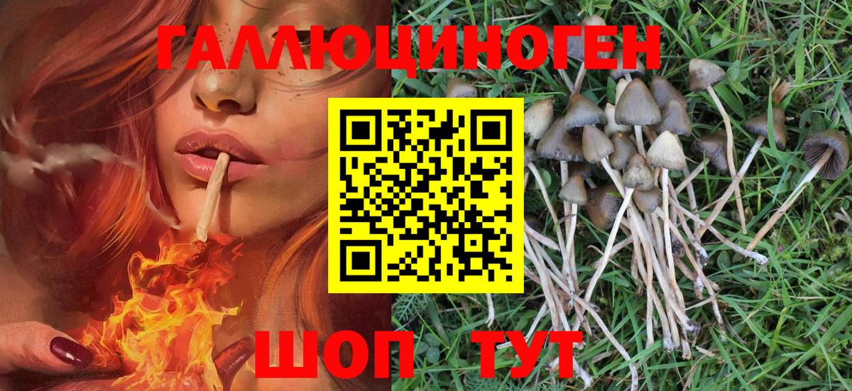 где купить наркотик  Вход с VPN  Обнинск  Псилоцибиновые грибы MAGIC MUSHROOMS 